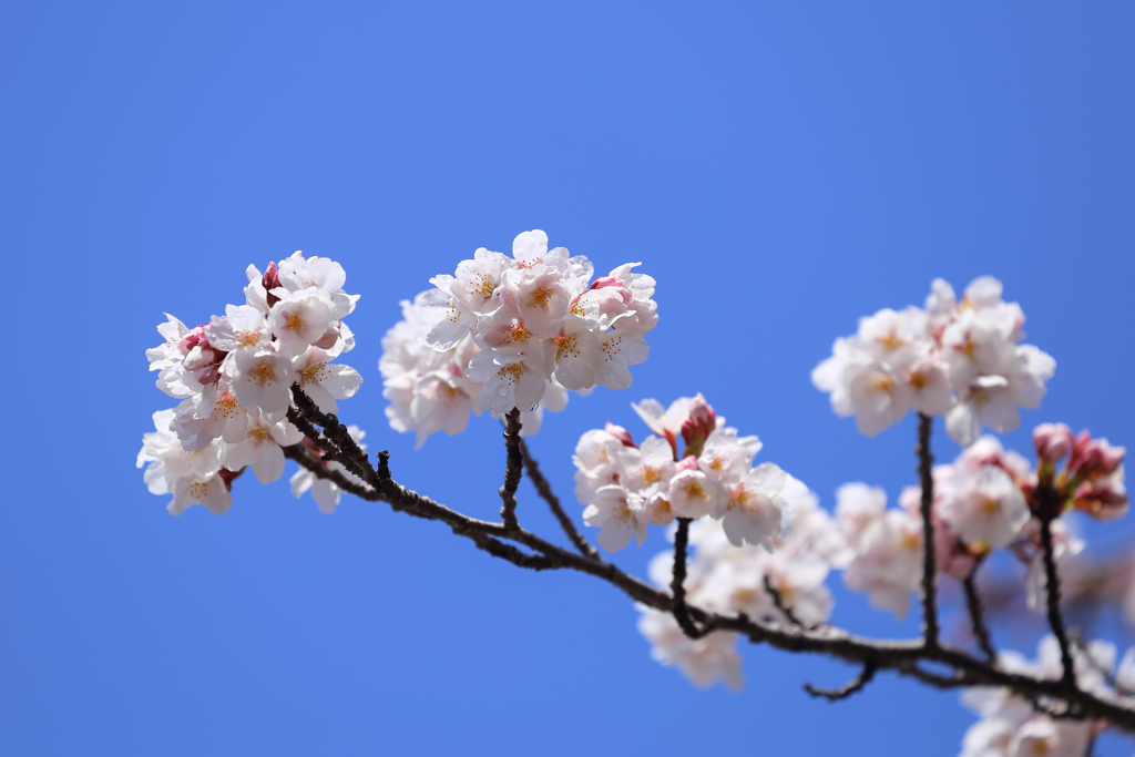 新しい気持ちで