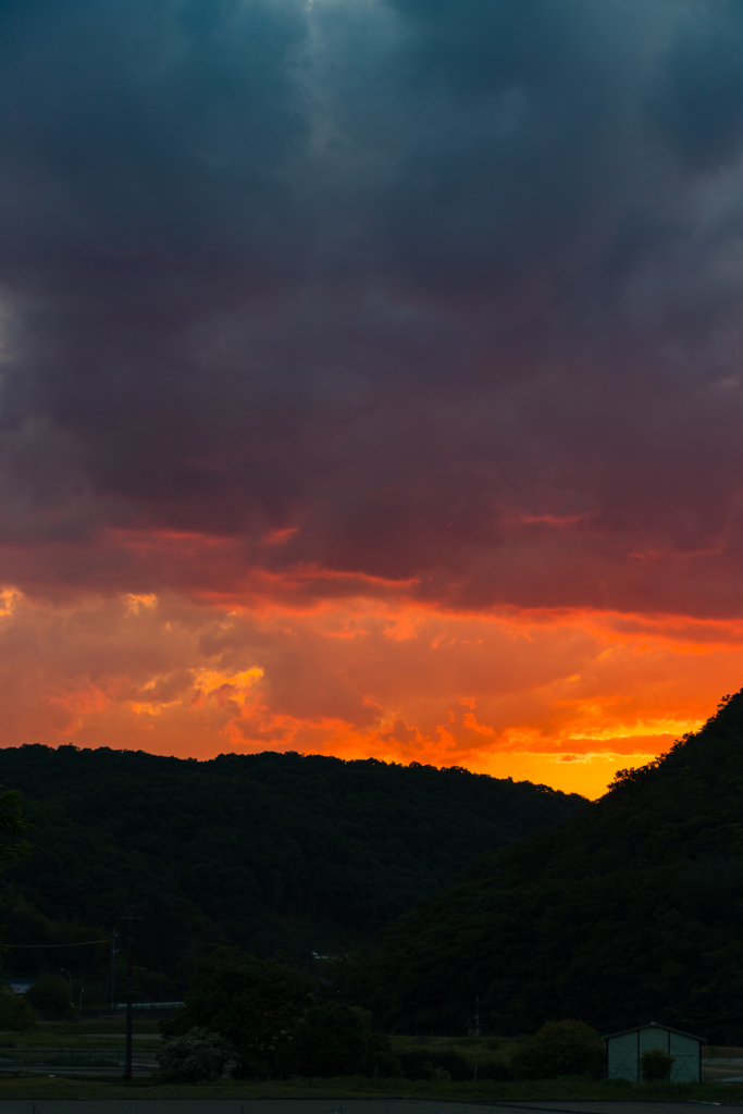 ホタルを求めて西へ