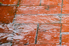 雨模様