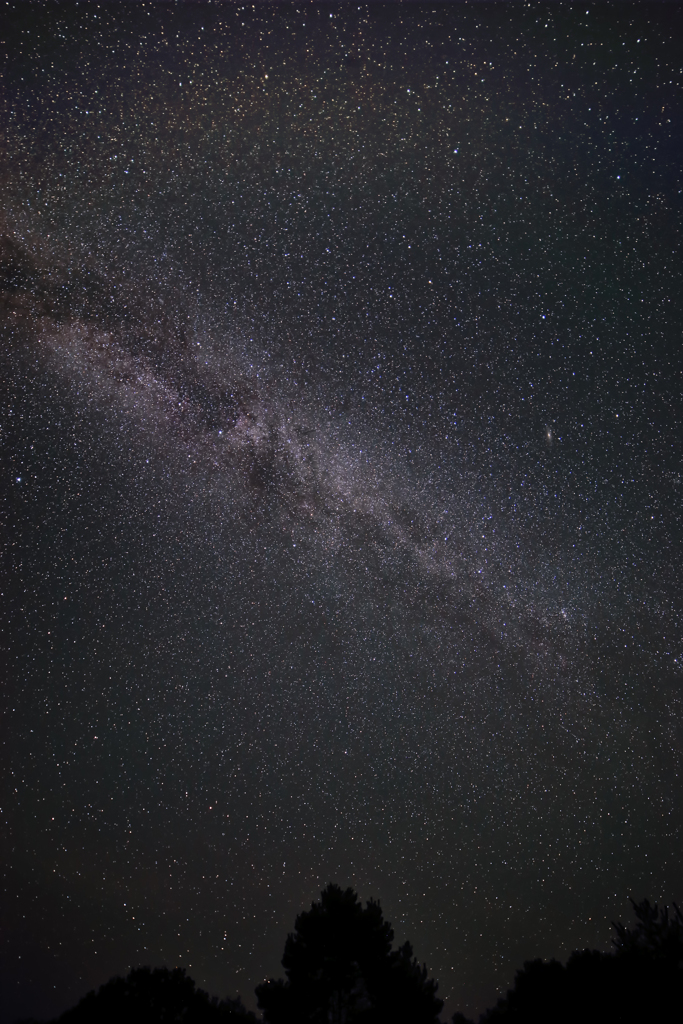 Polaris & Milky Way