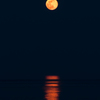 Moonlight Path