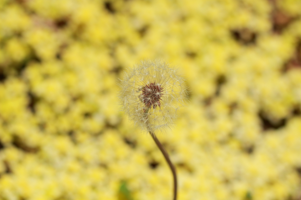 想い出がいっぱい