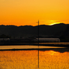 夕焼～け小焼け～の赤田んぼ～ ♪