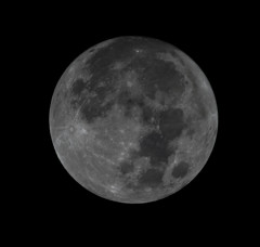 今年11回目の満月