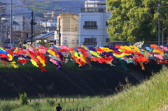 こいのぼりのスイミー
