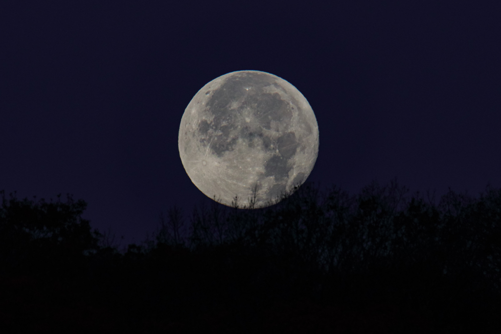 Cold Moon in the cold morning