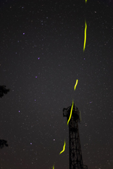 星空にホタルとタワーが写っタワー