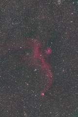 AP赤道儀とMGEN-3で撮る かもめ星雲