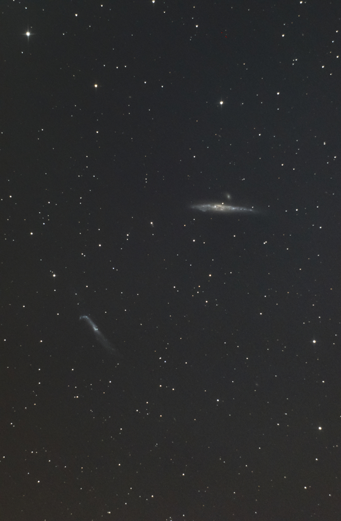 りょうけん座の銀河 NGC4631