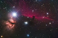 トホホ…な馬頭星雲