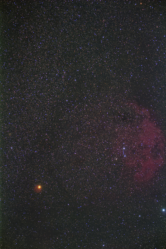 残念なエンゼルフィッシュ星雲