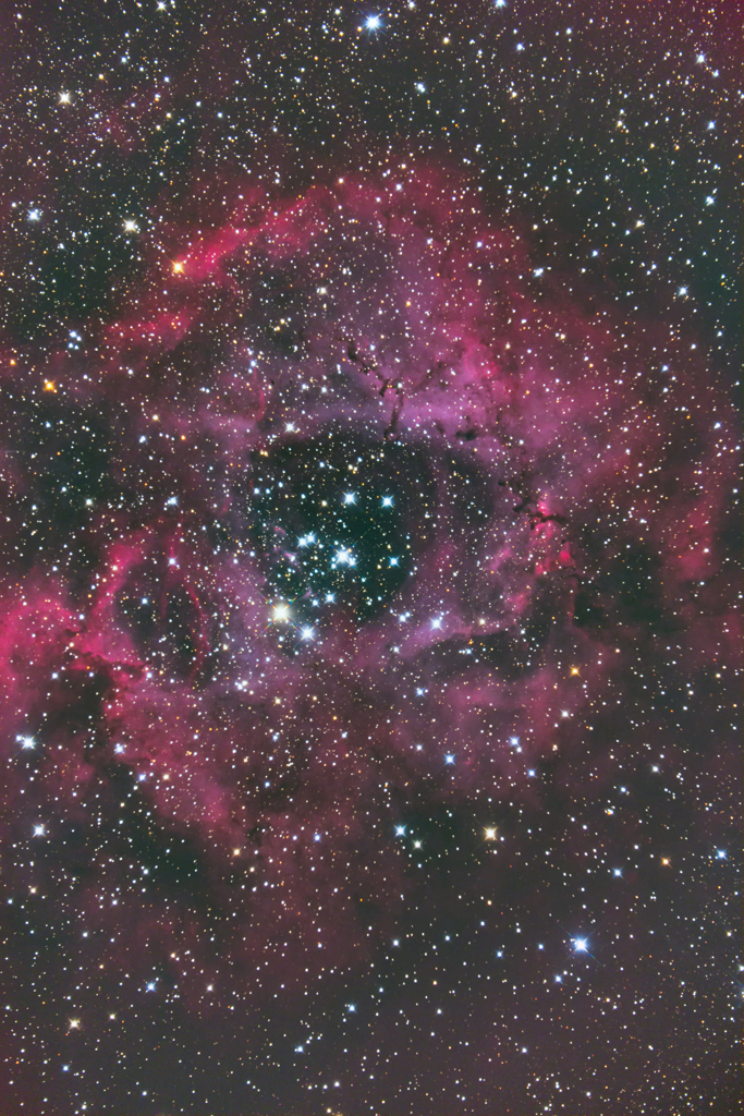 The Rosette Nebula ～バラ星雲～