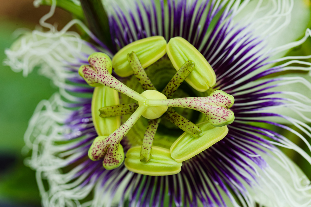 今何時？そうね、だいたいね♪