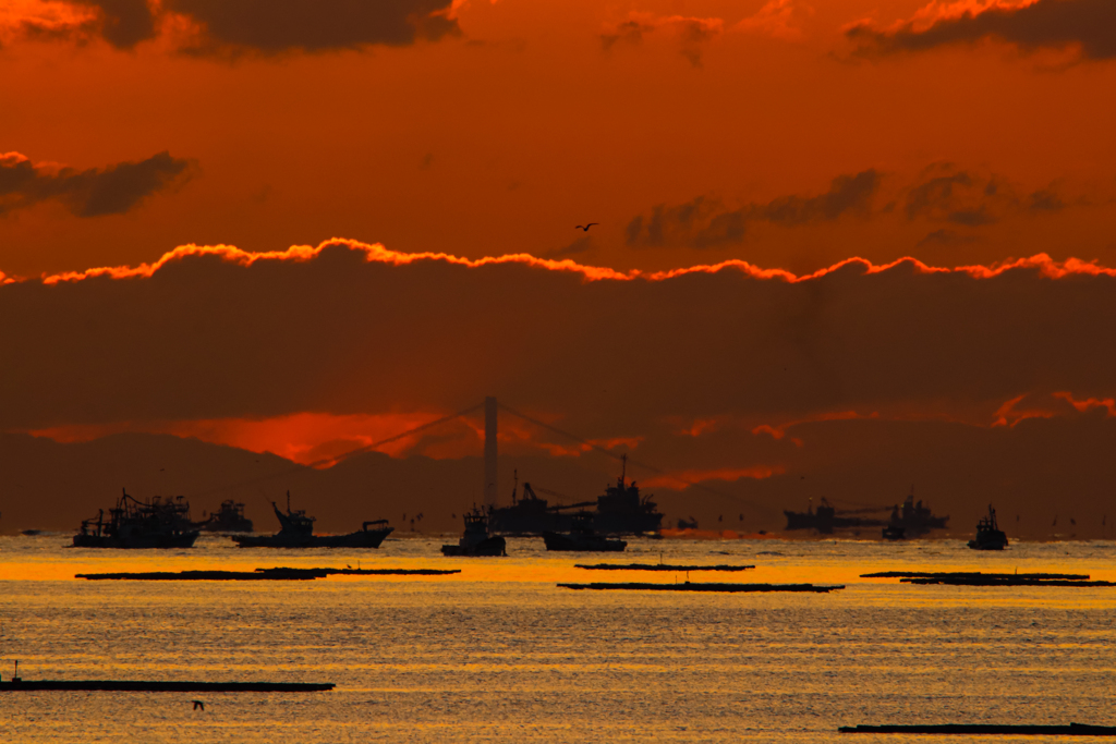 海が動き始める頃