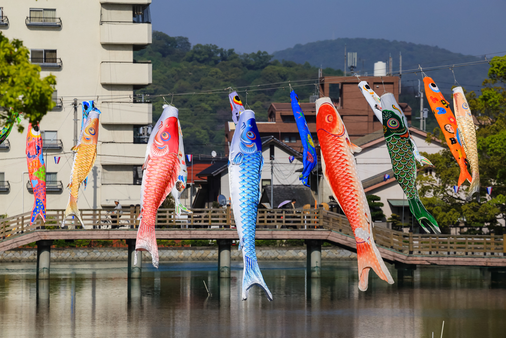 空に踊るや鯉のぼり