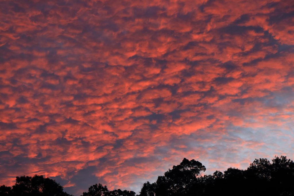 木曜日の夕焼け