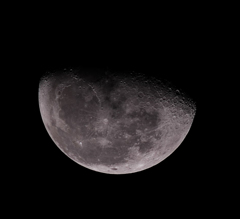 モーターフォーカサー試してみました(^_^)