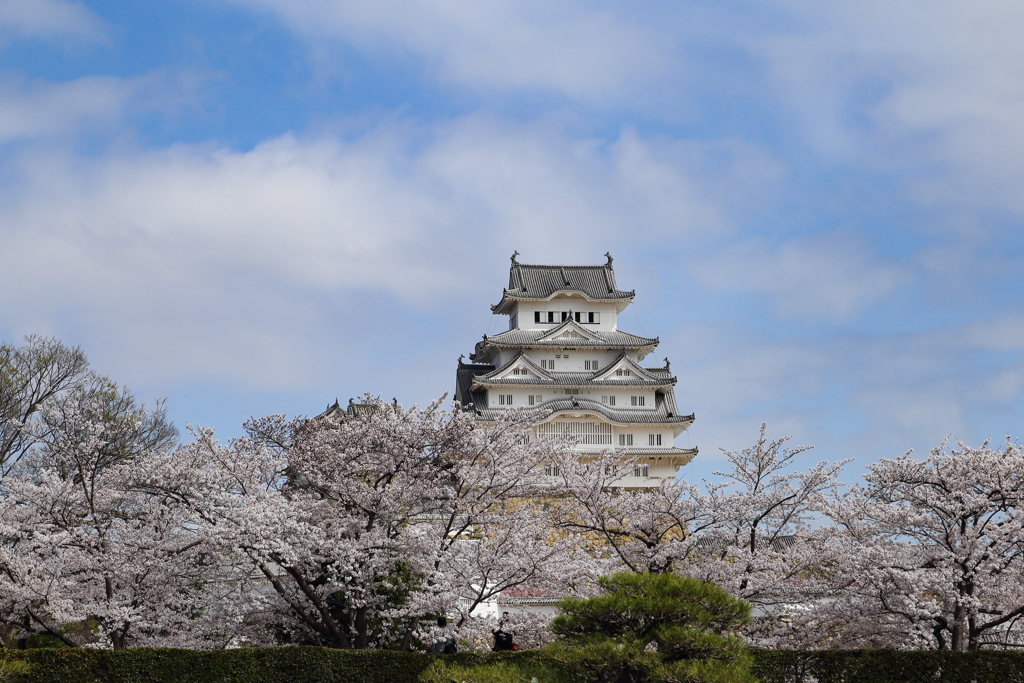 国宝 姫路城