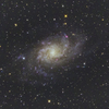 玄関開けるとさんかく座の銀河 M33