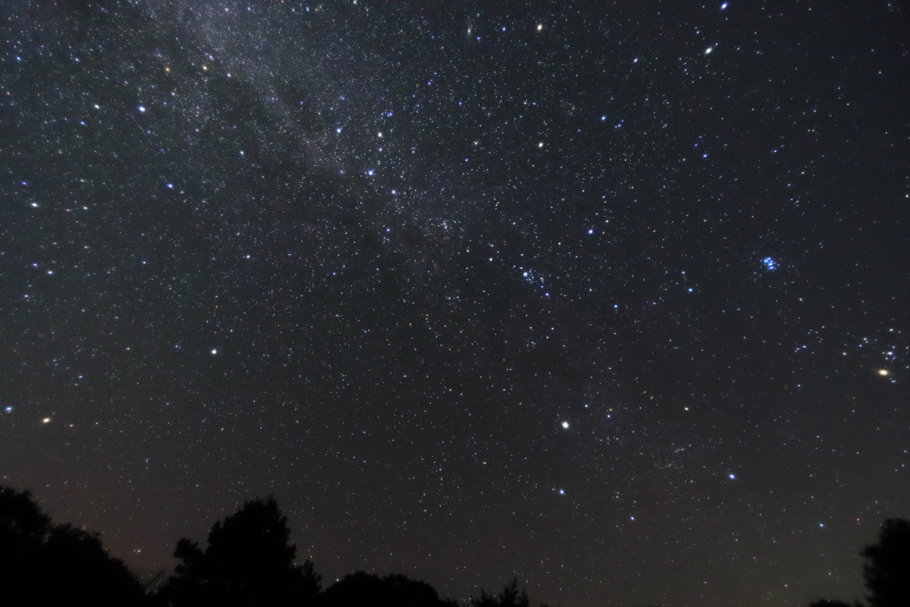 星の降る夜は…