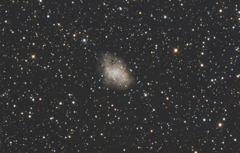 M1はやはりお笑いだった