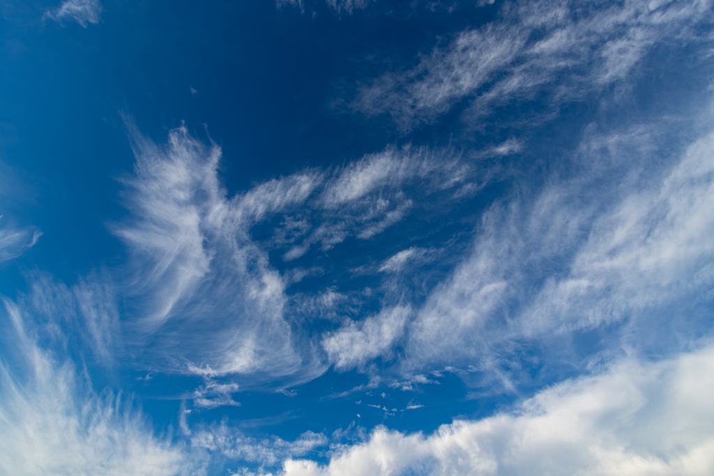 夏空 in 滋賀