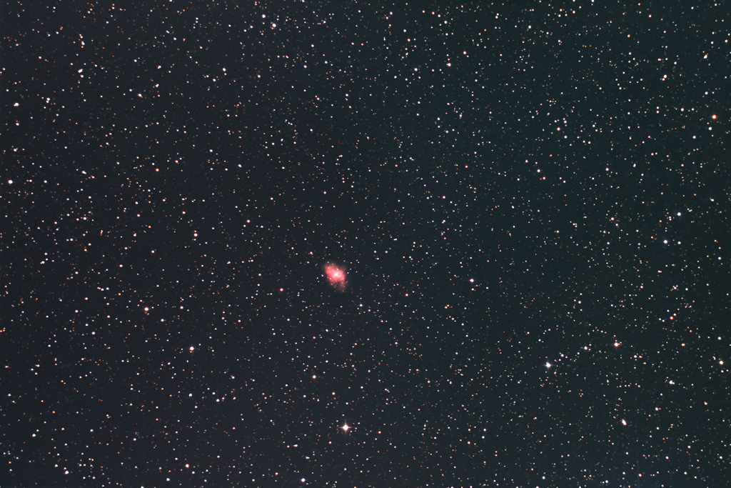 玄関ポーチで試写　《カニ星雲 これじゃまるでカニ風味》