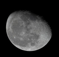 撮れ撮れピチピチ月撮影♪