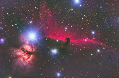 Horsehead Nebula ～馬頭星雲～