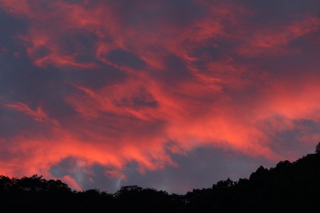 夕焼け小焼けで日が暮れて…