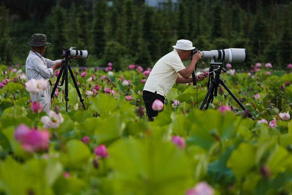 Veteran Photographers