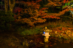 聚遠亭のライトアップ ②