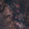 バンビが見上げる星空