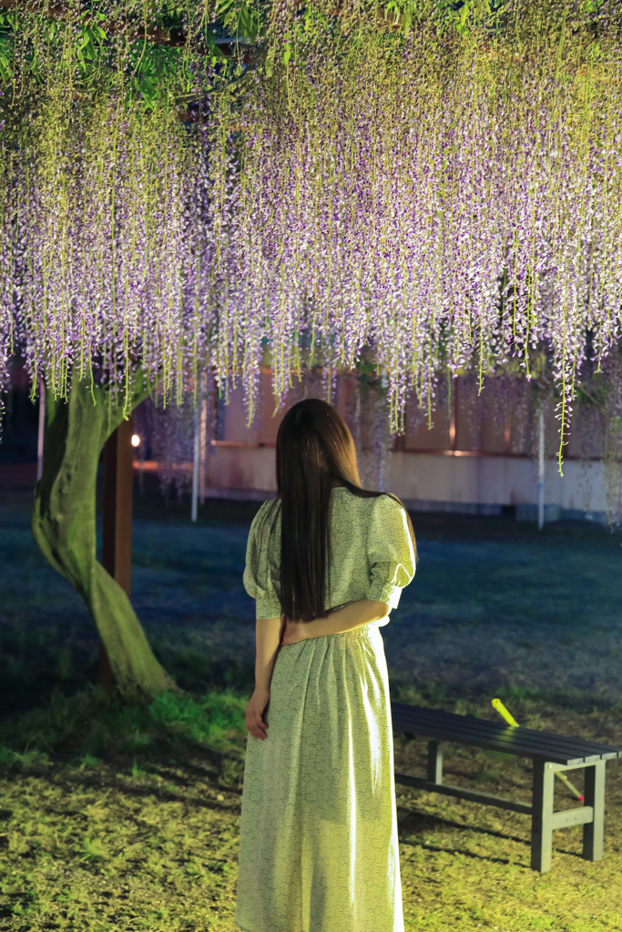 舞い降りた天使