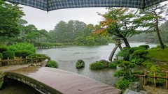 雨の兼六園