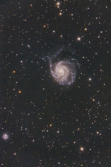 背景ムラムラ M101 回転花火銀河