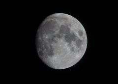 ツキがなかったので…