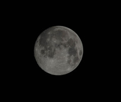 今年７度目の満月