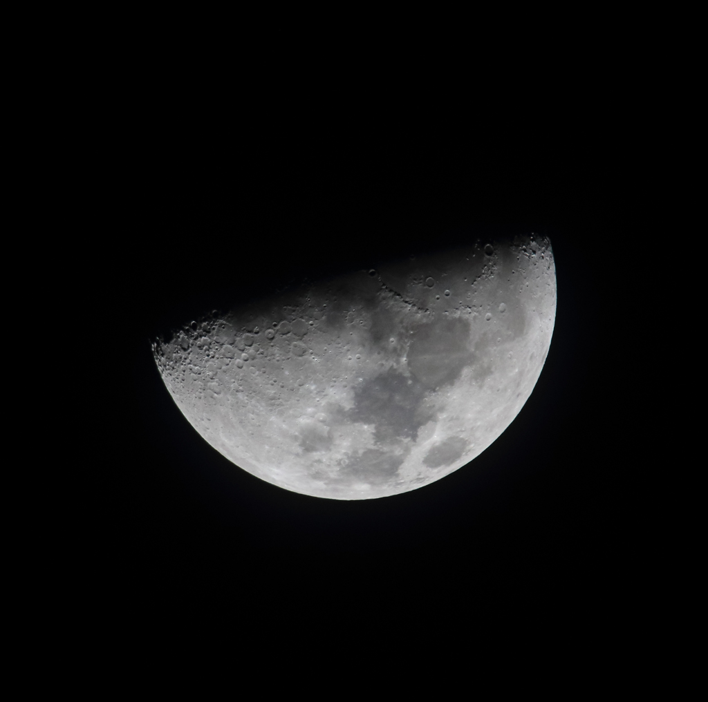TAMRON SP 150-600mm (A022E) Debut!