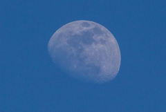 暗くなるまで待って…