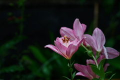 静寂
