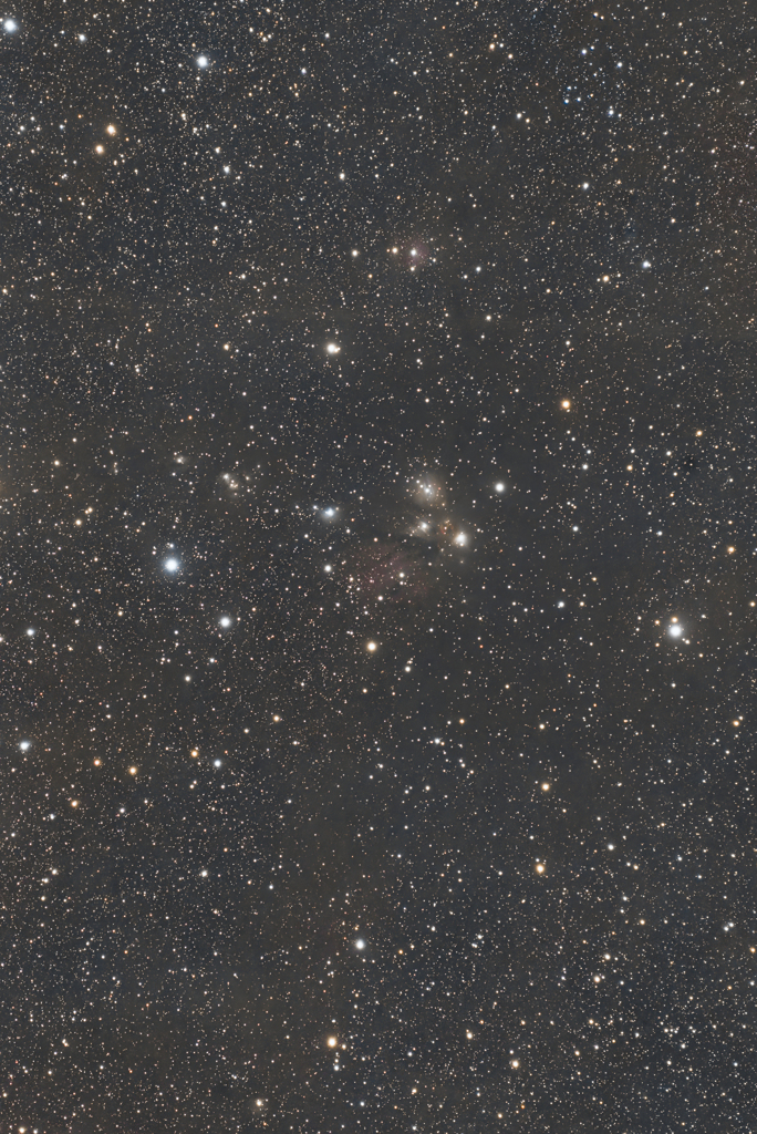 夜空のチョウの擬態？