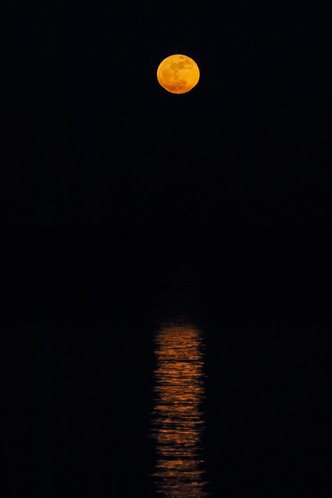 Moonlight Serenade