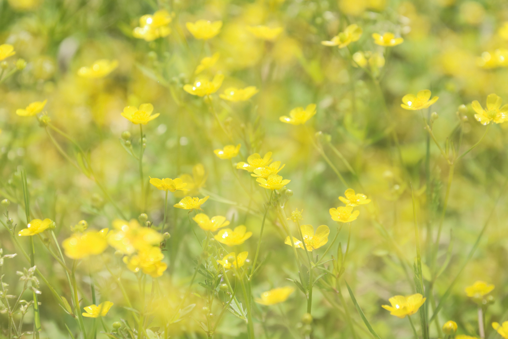 巡る季節の中で