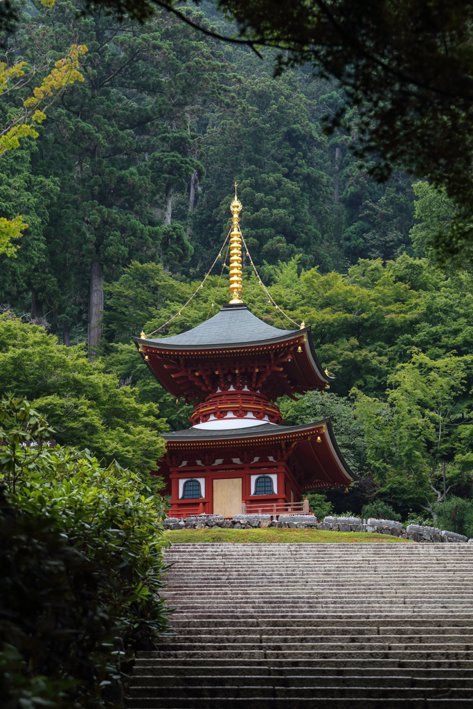 階段の先には…