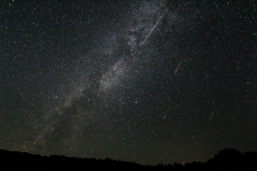 去年のペルセウス流星群の流星コンポ