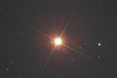 出たな タコ星人