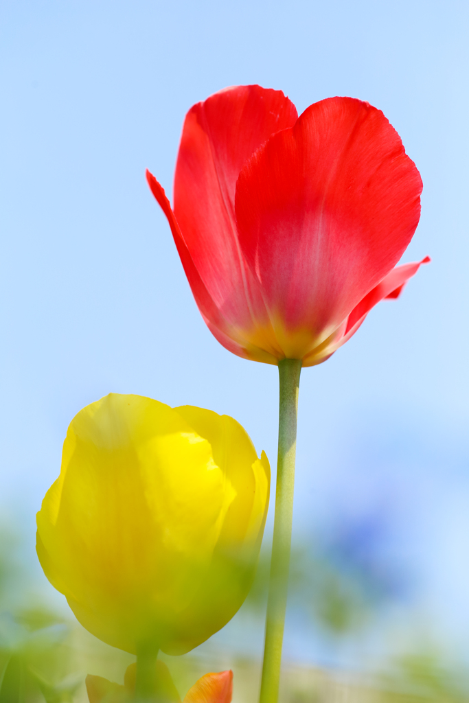 明るい気持ちで