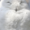 ステキな笑顔