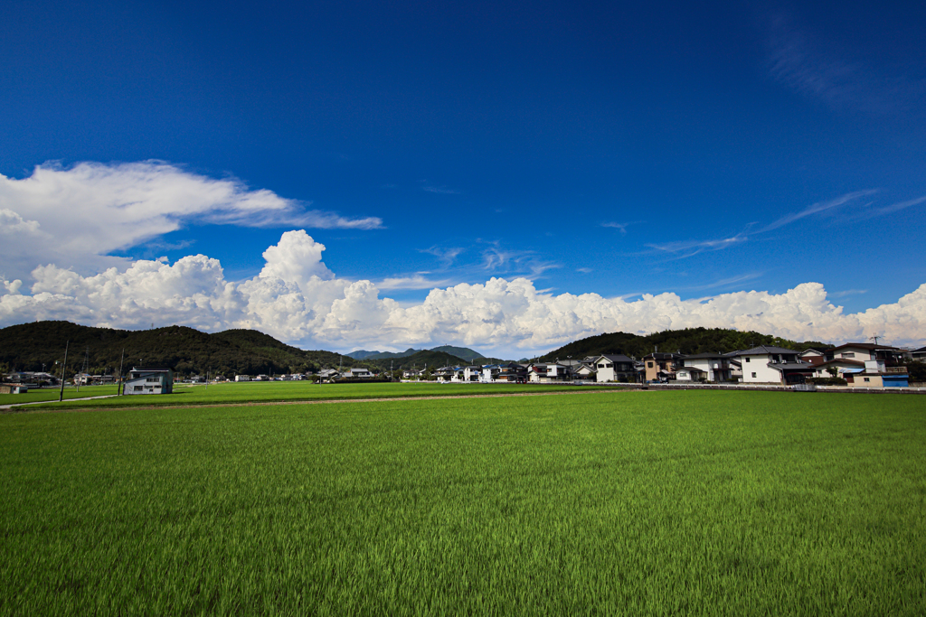 夏空